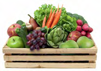 XXL buzdolapları gıdaları 2 kata kadar daha uzun süre taze tutar. Satın alınan yiyeceklerin vitaminle dolu olması kadar, onların sağlıklı bir şekilde uzun süre korunması da önemlidir.