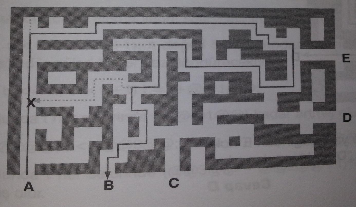 Şekil 4 Projeden Beklenenler: Uygulamanızda kullanıcı verilen (A, B, C, D, E) yollarından birini giriş seçecek ve Fare 1, Fare 2, Fare 3 için hangi kapılardan çıkış yapılacağı uygulamanız tarafından