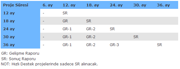 Gelişme Raporu