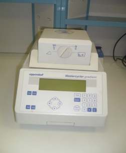 Polymerase Change