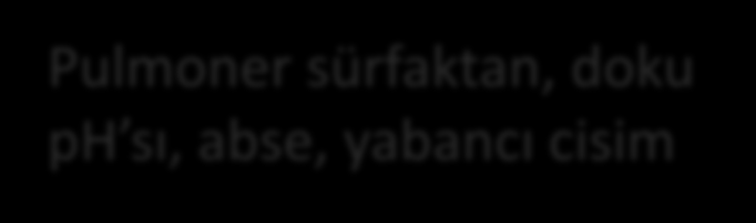 Antibiyotiğin tedavideki etkinliğinin saptanması Bakteri MİK ine eşit ve üzerinde enfeksiyon alanında konsantrasyona ulaşması + Pulmoner sürfaktan, doku ph