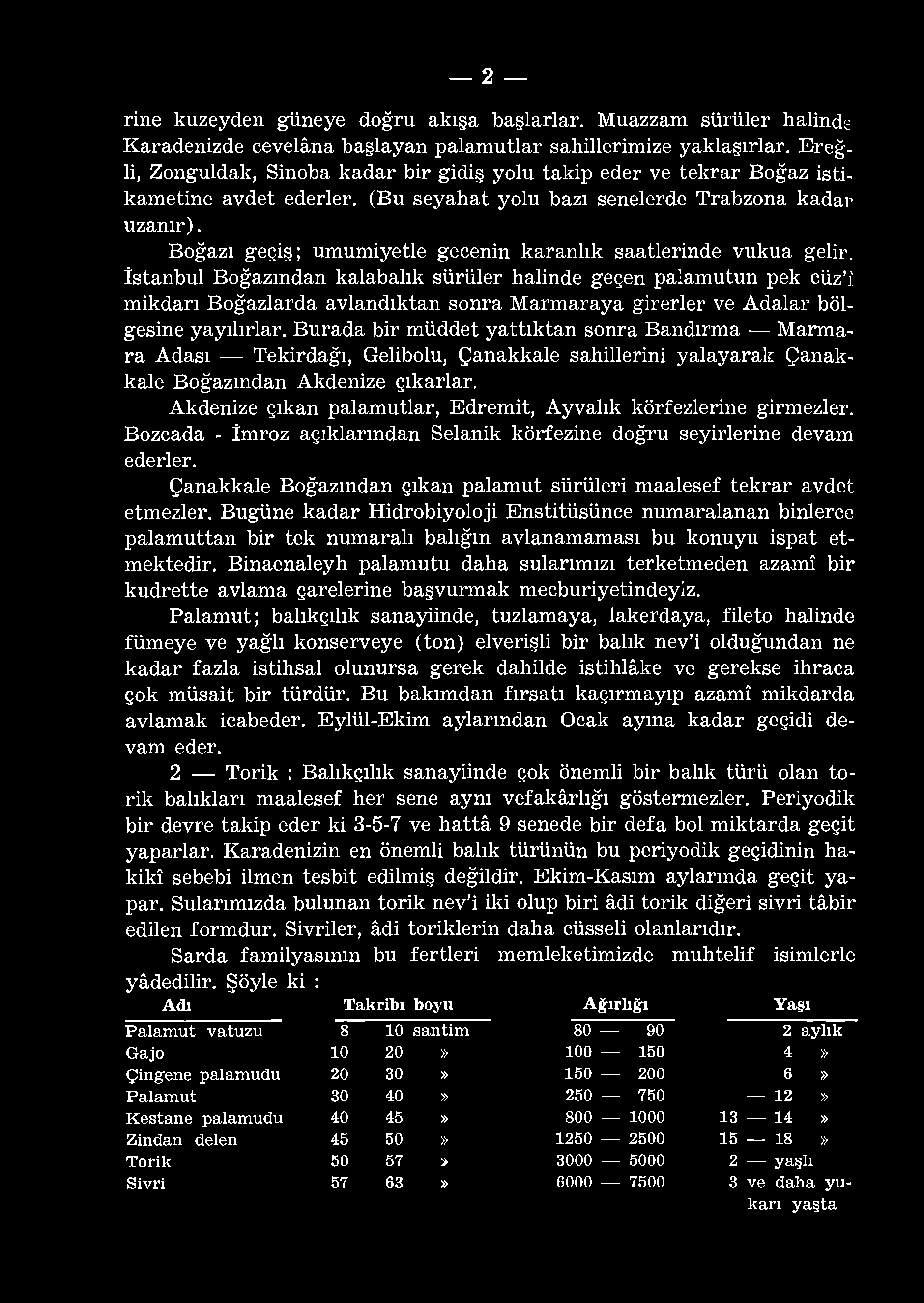 2 rine kuzeyden güneye doğru akışa başlarlar. Muazzam sürüler halinde Karadenizde cevelâna başlayan palamutlar sahillerimize yaklaşırlar.