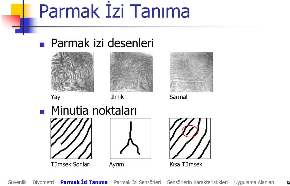 Sarmal Minutia noktaları