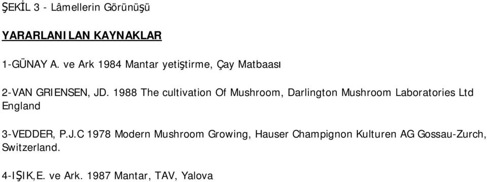 1988 The cultivation Of Mushroom, Darlington Mushroom Laboratories Ltd England