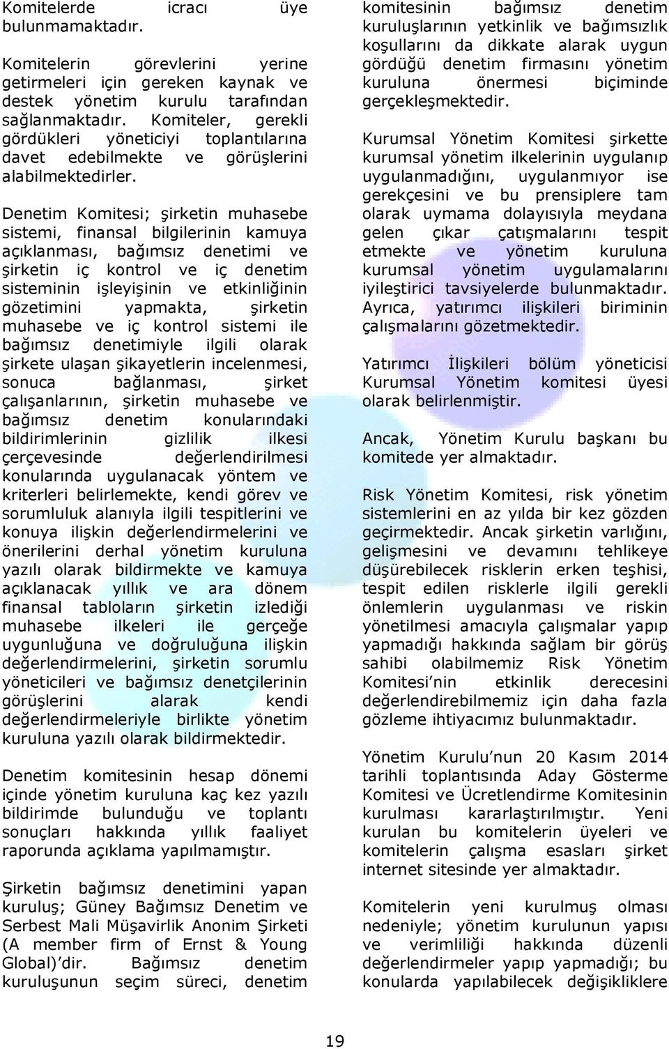 Denetim Komitesi; şirketin muhasebe sistemi, finansal bilgilerinin kamuya açıklanması, bağımsız denetimi ve şirketin iç kontrol ve iç denetim sisteminin işleyişinin ve etkinliğinin gözetimini