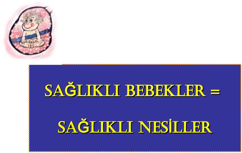 NES İ LLER