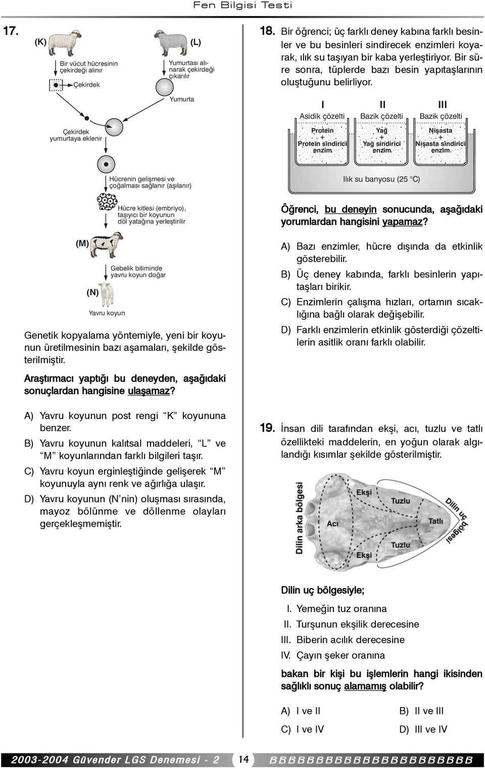 Bir süre sonra, üplerde bazý besin yapýaþlarýnýn oluþuðunu belirliyor.