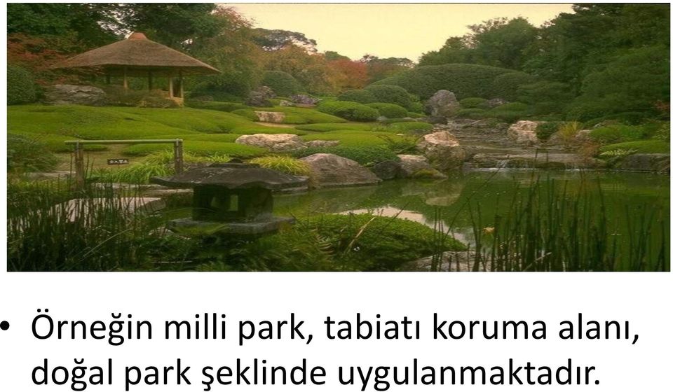 alanı, doğal park