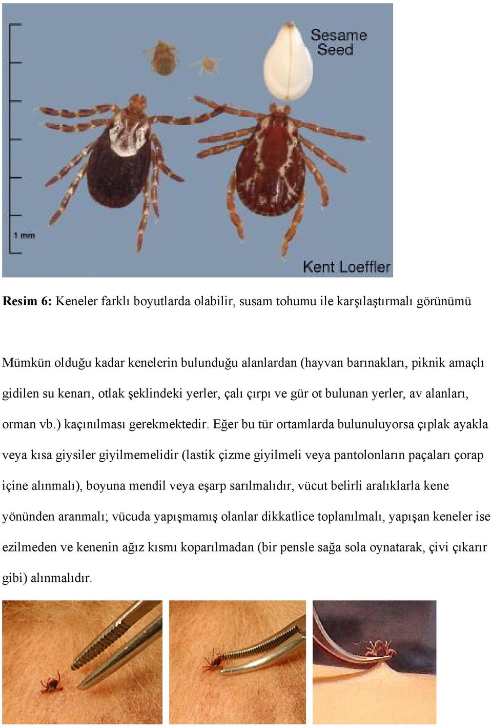 Eğer bu tür ortamlarda bulunuluyorsa çıplak ayakla veya kısa giysiler giyilmemelidir (lastik çizme giyilmeli veya pantolonların paçaları çorap içine alınmalı), boyuna mendil veya