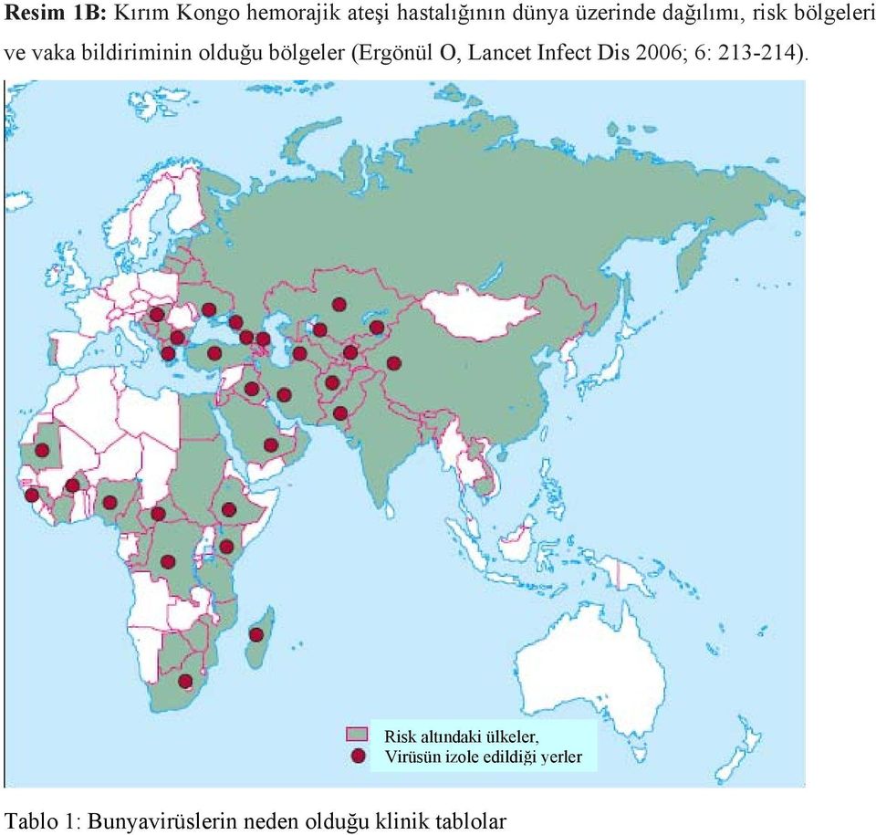 O, Lancet Infect Dis 2006; 6: 213-214).