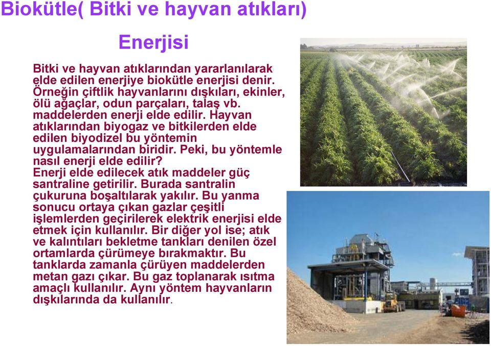 Hayvan atıklarından biyogaz ve bitkilerden elde edilen biyodizel bu yöntemin uygulamalarından biridir. Peki, bu yöntemle nasıl enerji elde edilir?