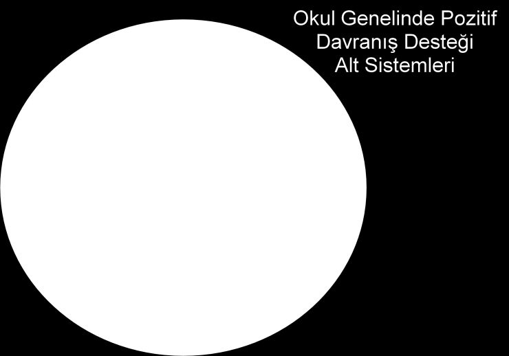 ġekil 2. Okul genelinde pozitif davranış desteği alt sistemleri (Horner, Sugai, Todd ve Lewis- Palmer (1999-2000) dan uyarlanmıştır.