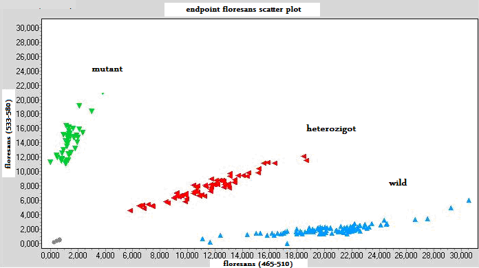 wild tip heterozigot tip mutant tip Şekil 8: COX-2 765 genotiplerinin gösterilmesi İstatistiksel Analiz İstatistiksel analizler için SPSS 11.