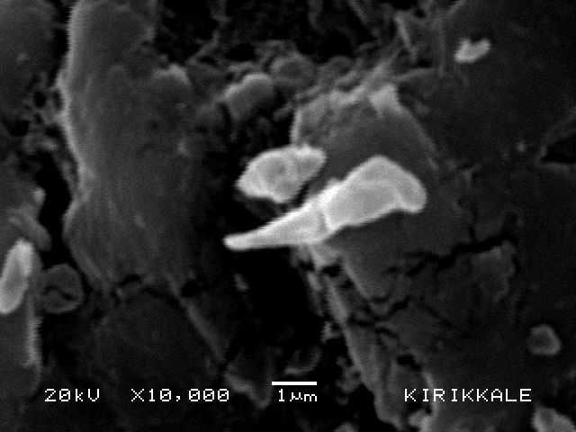 Pektinaz ve substratlarının yapısal analizi Şekil 2. SEM de x10000 büyütmede, boyutu 1.2 µm olan pektin kristal yapısının görüntüsü Şekil 3.