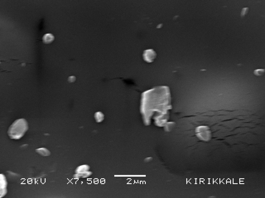 M. Maraş, K. Çavuşoğlu, E. Aksöz, T. Kırındı Şekil 5. SEM de x14000 büyütmede, 1.6 µm boyutundaki poligalakturonik asit kristal yapısının görüntüsü Şekil 6.