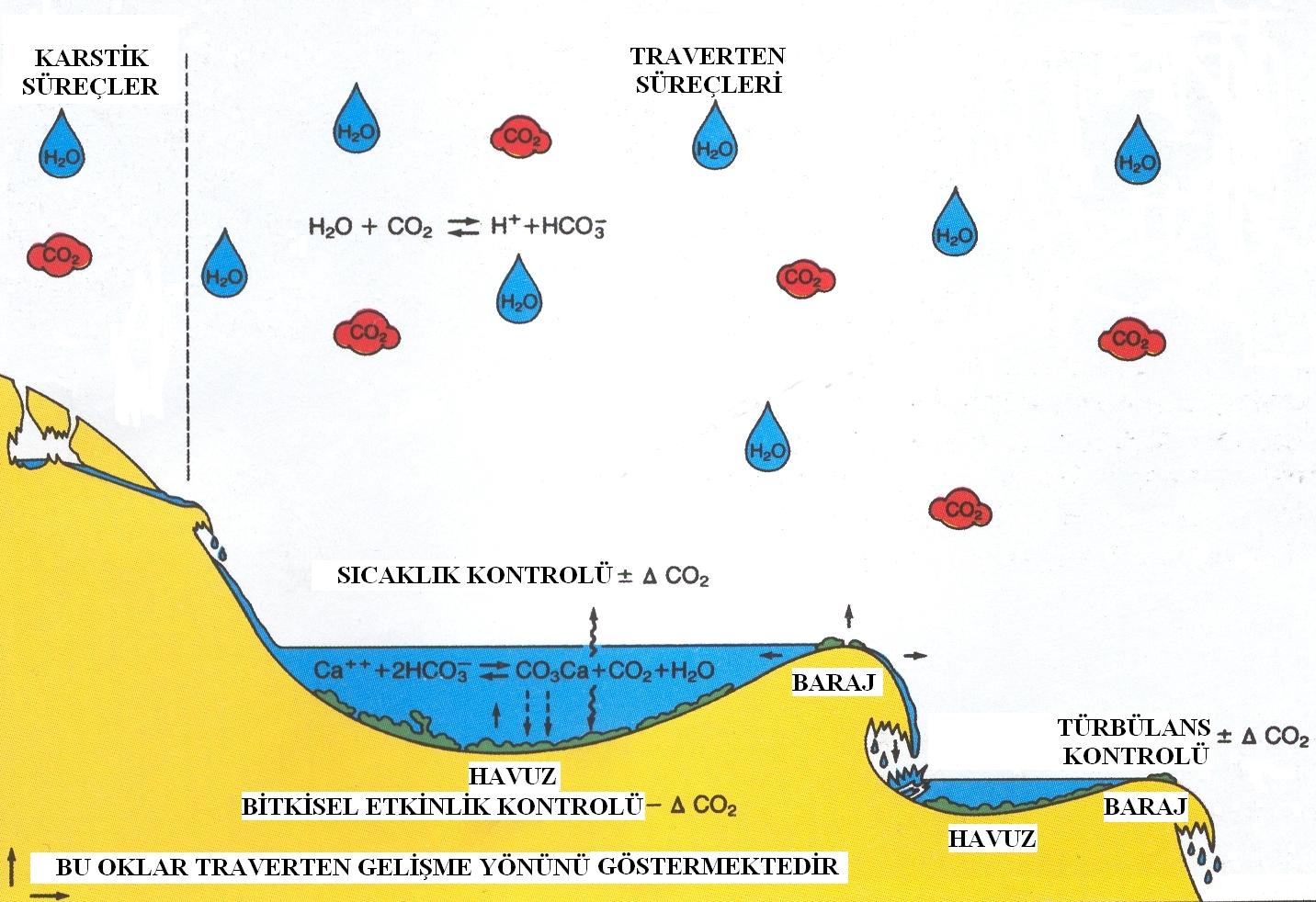 Tufa-Traverten oluşumunda rol oynayan CO2 ve Ca iyonlarının değişimini gösteren