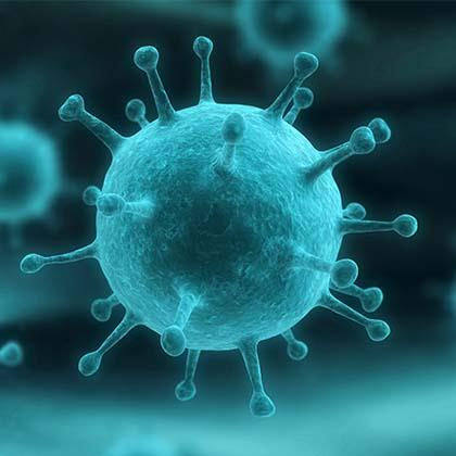 İnfluenza Tek iplikli RNA virüsü, ortomiksoviridae ailesinden En sık viral pn sebebi A, B, C serotipleri Tip A: Viral pn en sık ölümcül patojeni Hemaglütinin (H) ve Nöraminidaz (N) proteinleri