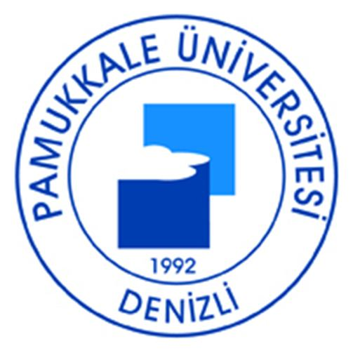 T.C. PAMUKKALE ÜNİVERSİTESİ FEN BİLİMLERİ ENSTİTÜSÜ İNŞAAT MÜHENDİSLİĞİ ANABİLİM DALI GEOTEKNİK MÜHENDİSLİĞİ