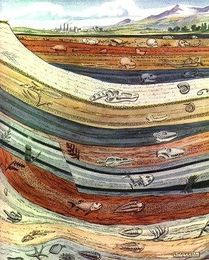 YER KABUĞUNUN DİKEY KESİTİ (Cross-Section of Earth s Crust) Merkezde Bulunduğu Yer: Yeryüzü (Earth) standında bulunmaktadır.