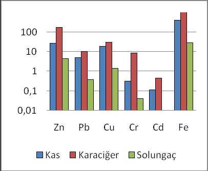 (a) (b) Şekil 1. Tuzla istasyonundan örneklenen C.gariepinus (a) ve C.carpio nun (b) kas, karaciğer ve solungaç dokularındaki metal düzeyleri (µg/g k.a.). (a) Şekil 2.