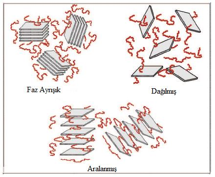 1.5.3. DağılmıĢ (eksfoliye) yapı Bu tür yapılarda, kil tabakaları arasındaki mevcut ikincil kuvvetlerin tamamı ortadan kalkarak polimer matris içinde tamamen dağılmasıyla elde edilebilmektedir.