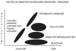 30 Eylül - 4 Ekim 2009, ntalya 111 cihazlar arasında da sonuçlar açısından iyi bir korelasyon mevcuttur (19).