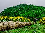 4 Mevs m Ordu ulusal fotoğraf yarışması 4 Season Ordu Nat