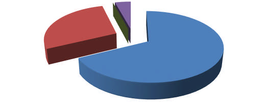 Portföy Büyüklüğü 0% 4% Portföy Dağılımı 28% 68% Gayrimenkuller Para ve Sermaye Piyasası Araçları İştirakler Diğer Varlıklar Genel Yönetim Giderleri Genel Yönetim Giderleri