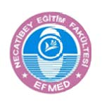 Necatibey Eğitim Fakültesi Elektronik Fen ve Matematik Eğitimi Dergisi (EFMED) Cilt 10, Sayı 1, Haziran 2016, sayfa 260-279.