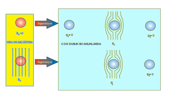 Şekil 2.9 Bir süperiletkenin mıknatıslanmasının şematik gösterimi Numune içindeki manyetik alan B=0'dır. B = µ 0 (H+M) = 0 (2.