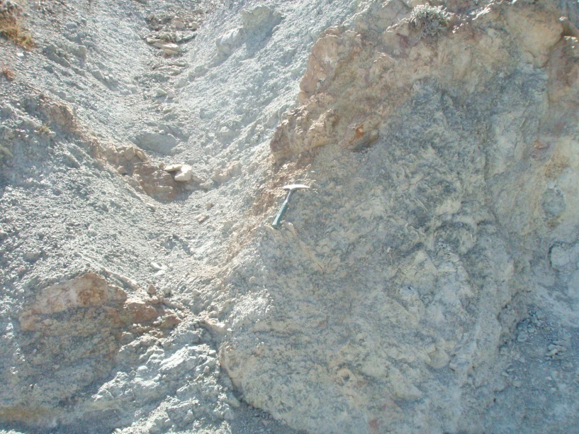 Jeoloji Mühendisliği Dergisi 33 (1) 2009 9 Araştırma Makalesi / Research Article Emirgazi formasyonunun içerisinde değişik kalınlıklarda dolomitik kireçtaşı, ankerit ve siderit mercekleri ile