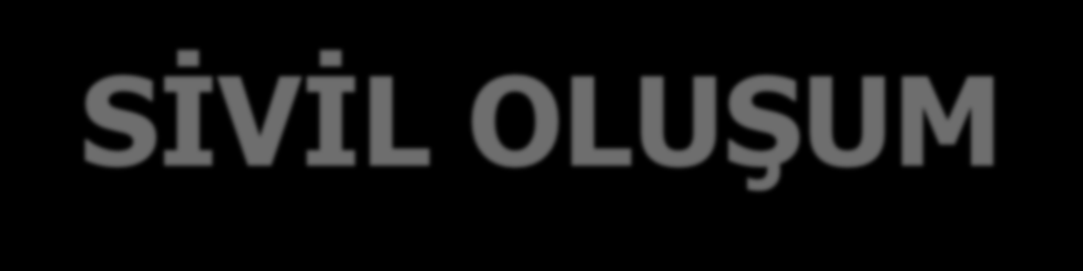 SĠVĠL OLUġUM Dernekler Dairesi BaĢkanlığı ve Birimleri AB uyum sürecinde daha demokratik ve daha etkin sivil bir toplum oluşturmak, sivil toplumun örgütlenmesini teşvik etmek, derneklerin