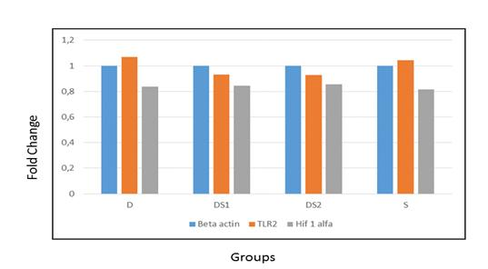 Osmangazi Tıp Dergisi, Ocak 2017 9 3. Bulgular Histolojik Bulgular Işık mikroskobu incelemelerinde kontrol grubuna ait böbrek dokularında, glomerül ve tübül yapıları normal olarak izlendi (Resim 1a).