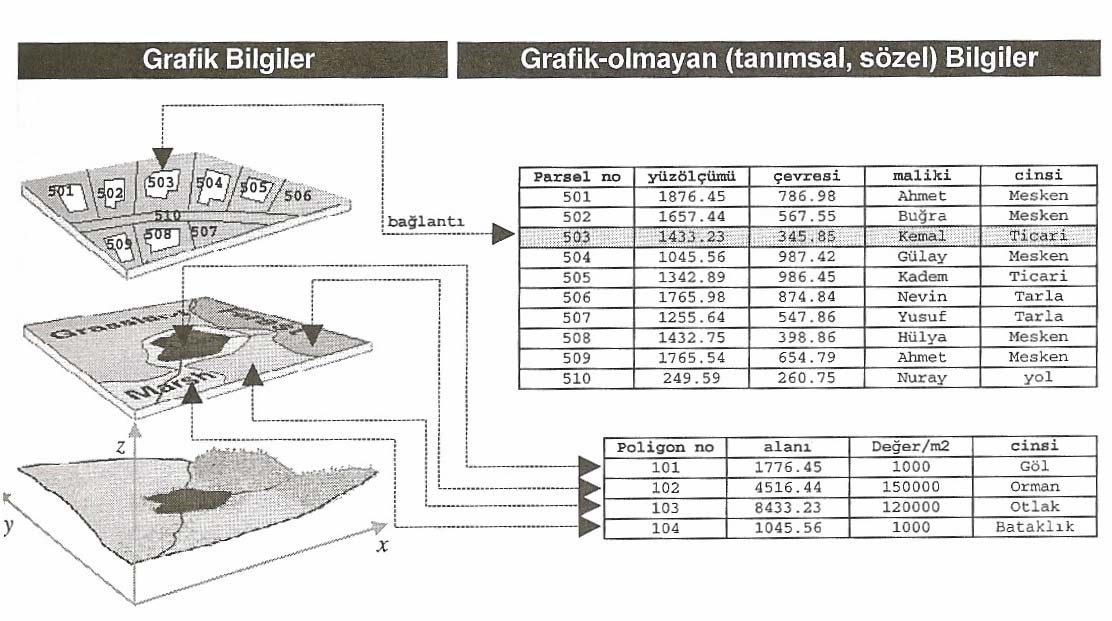 108 Veriler ve Öznitelik veya Grafik Olmayan Verilerdir. Şekil 4.4 de Grafik ve Grafik olmayan bilgilerin basit bir gösterimi sunulmuştur (Yomralıoğlu, 2000).