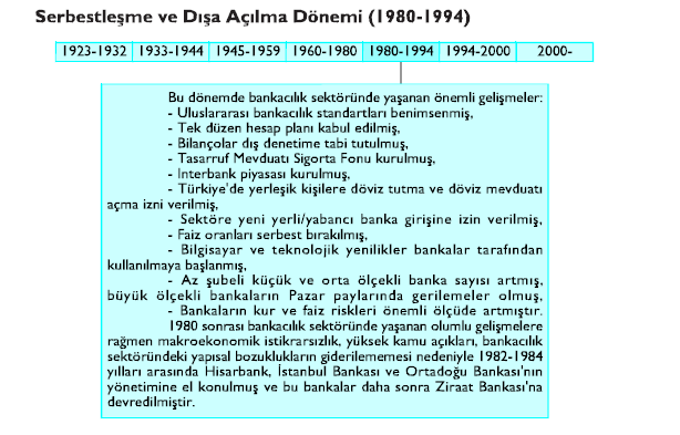 2000 yılına girildiğinde enflasyonist etkiyi azaltmak için bir takım döviz politikaları izlenmiştir. Bunun sonucunda bankaların aktif yapısında bir değişim yaşanmaya başlamıştır.