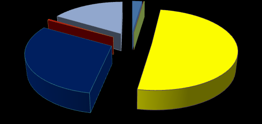 Tablo 4: 2014 Yılı Sermaye Giderleri Bütçesi ve Yıl Sonu Gerçekleşmeleri 2014 YILI (06) SERMAYE GİDERLERİ SERMAYE GİDERLERİ İLK SON GERÇ/ ORANI TOPLAM GERÇ. İÇİN. PAYI MAMUL MAL ALIMLARI 262.825.