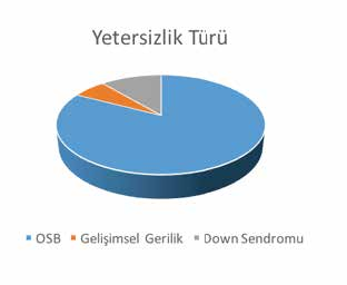 Yetersizlik Türü Gelişimsel Destek Birimi nde çeşitli yetersizlik gruplarında yer alan öğrencilere hizmet sunulmaktadır.