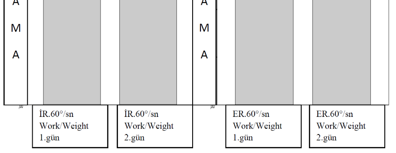 gün Şekil 4.2. 60 /sn İş / kişinin ağırlığı ölçüm grafikleri Sporculara omuz Abd pozisyonunda 180 0 /sn açısal hızda, İR, ER izokinetik kuvvet değerlendirilmesi yapıldı.