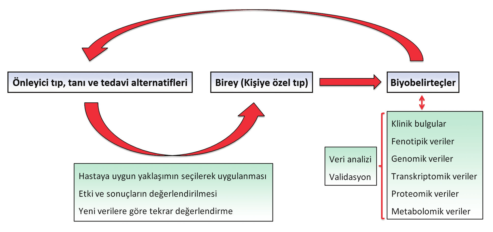 Resim 2. Kişiye özel (bireysel) tıp ve tedavi seçeneklerinin biyobelirteç odaklı belirlenmesi. rilmesi ve önleme).