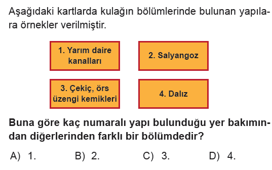 YAZILI ÖNCESİ ÇALIŞMA