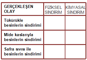 23) Yukarıda insan vücudunda gerçekleşen iki olay