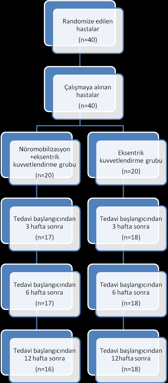 Şekil 3.1.