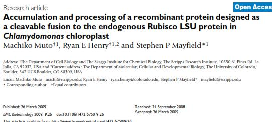 Bir başka çalışmada Chlamydomonas reinharditii kloroplastlarında rekombinant proteinlerin anlatım düzeylerini arttırmak için farklı bir yöntem kullanılmıştır.
