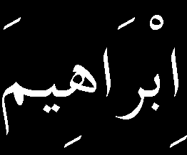 Öyle de, başka kuş ve hayvanların istidad dili bilinirse, çok taifeleri var ki; karındaşları hayvanat-ı ehliye gibi, birer mühim işde istihdam edilebilirler.