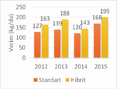 Kınay (2014), tarafından 2012 yılından bu yana yürütülen hibrit ıslahı çalışmaları sonucunda basma bölgesi için bölgedeki standart çeşitten yaklaşık %20 daha yüksek verime sahip ve randıman değerleri