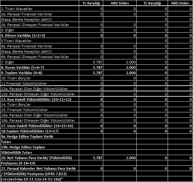 Şirket, döviz cinsinden alacaklı bulunulan meblağların Türk Lirası na çevrilmesinden dolayı kur