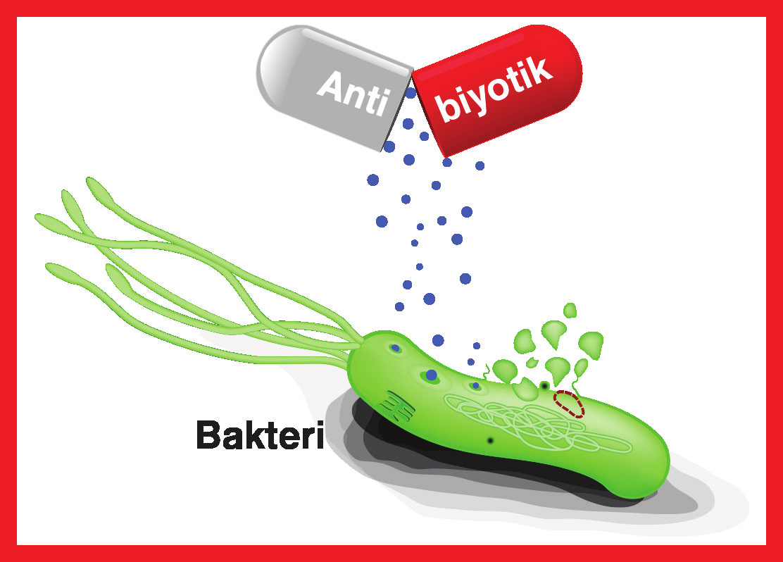 6 6.5 Antimikrobiyel Direnç Antimikrobiyel direnç (AMD) son yıllarda insan sağlığının önemli tehditlerinden biridir.