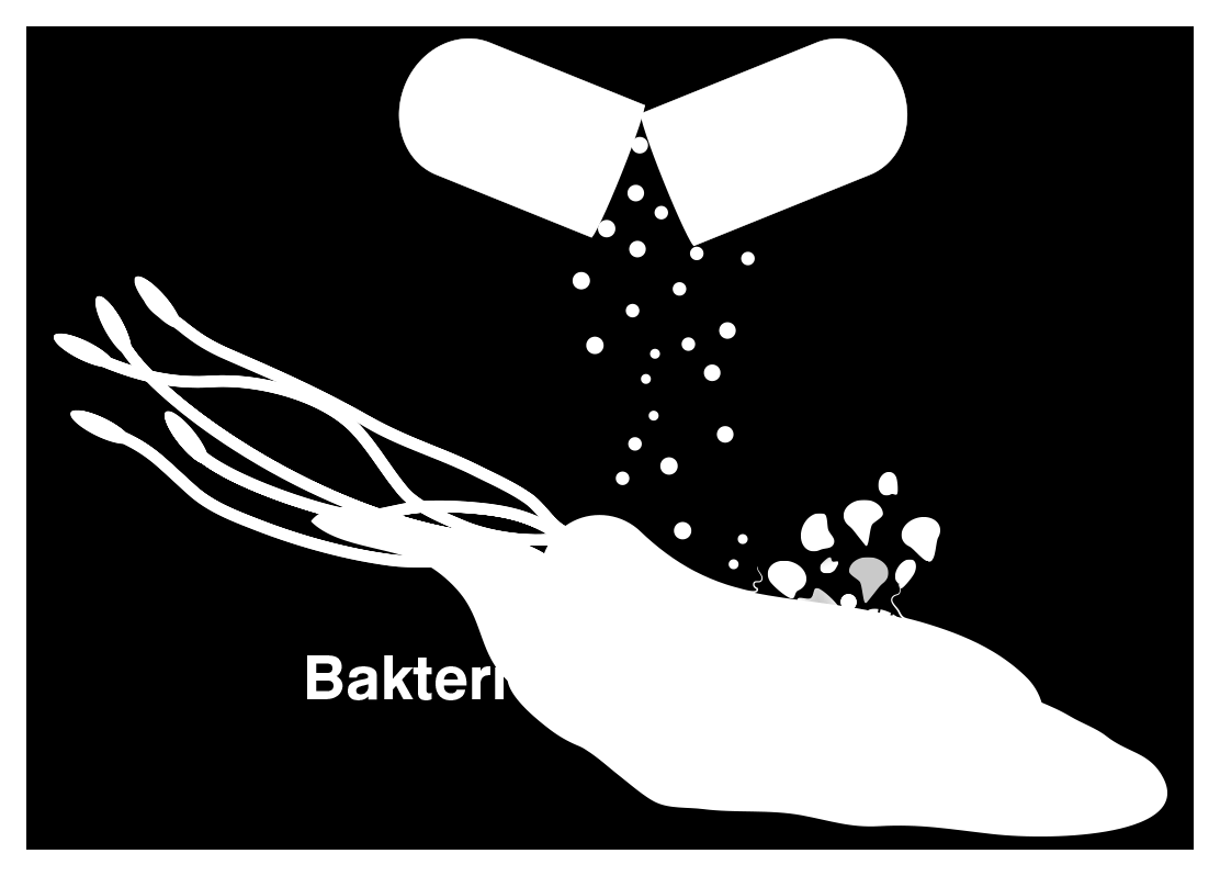 hale gelmesidir. Bugün tüm dünyada ve ülkemizde boyutları giderek artan ciddi bir halk sağlığı sorunu haline gelmiştir.