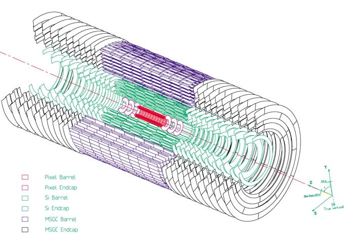 Microstrips Pixels MUON