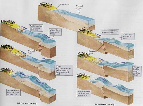 Tsunami Anatomisi Çok uzun,, L 100 km den fazla Açık denizde H az (0.